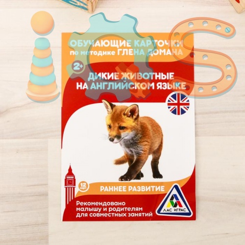 Обучающие карточки по методике Г. Домана - Дикие животные на английском языке iQSclub магазин настольных и развивающих игр