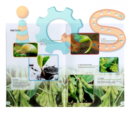 Набор для опытов - Наука о растениях, Эврики iQSclub магазин настольных и развивающих игр фото 4