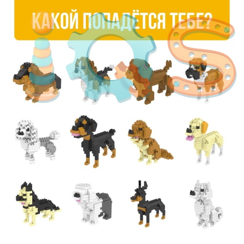  -  Cute dogs, UNICON iQSclub       4